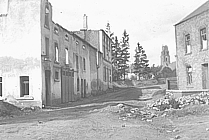 La chicorée Capon